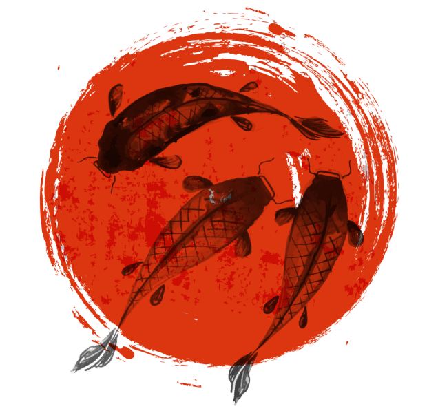 koi1